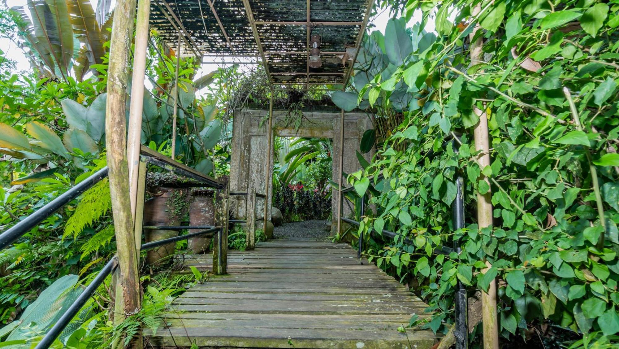 Umah Tis Sebatu Villa Tegallalang  Exterior photo